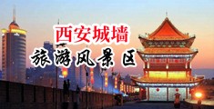 性感美女被插进去操免费麻豆视频下载中国陕西-西安城墙旅游风景区
